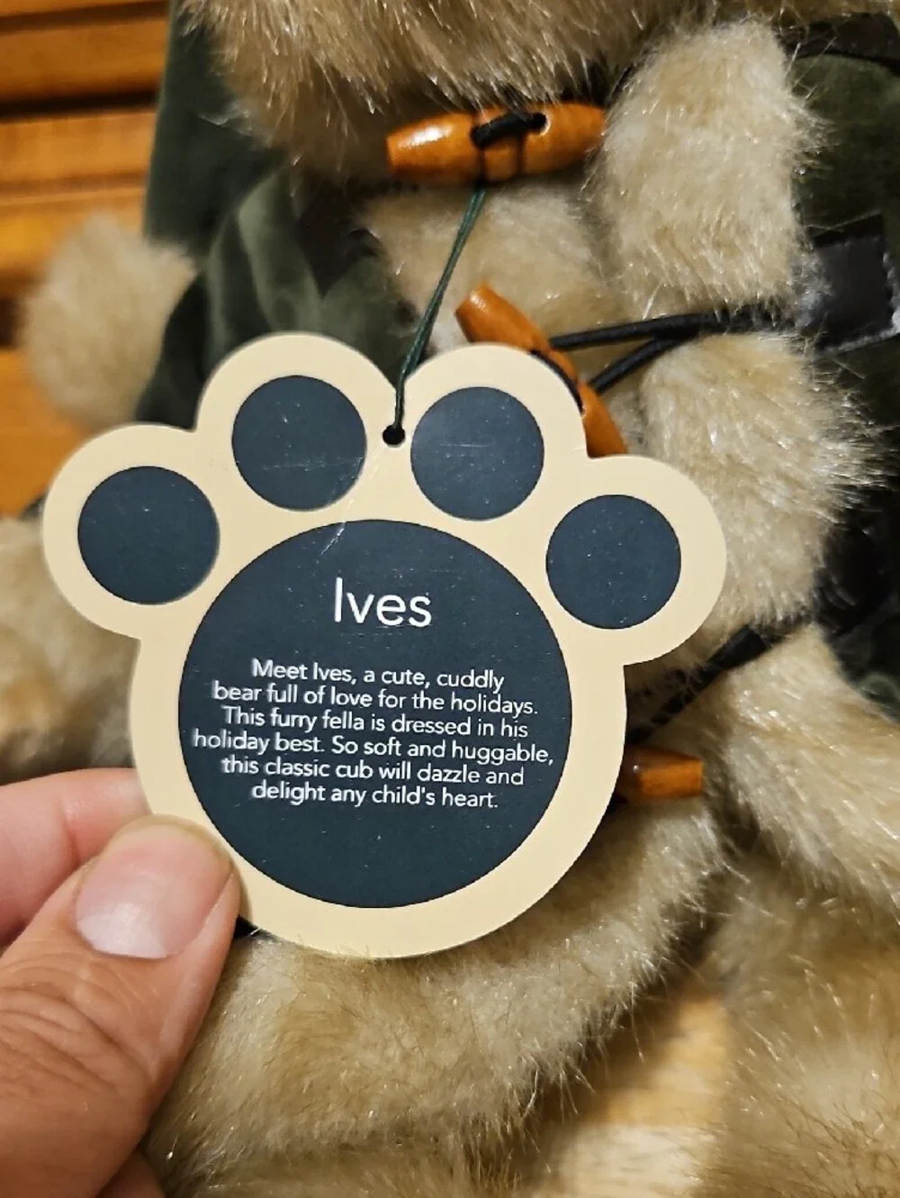 Trade Secret TS Plush Ives Bear 2002 Green Velvet Coat Outfit Hat 16.5